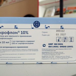 Энрофлон 10%, 10 мл