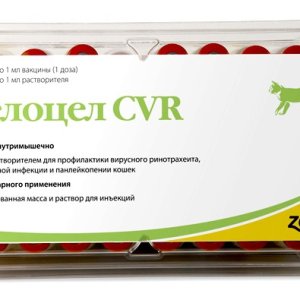 Фелоцел CV-R