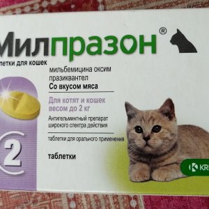 Милпразон таб. 10мг №2, для котят и молодых кошек